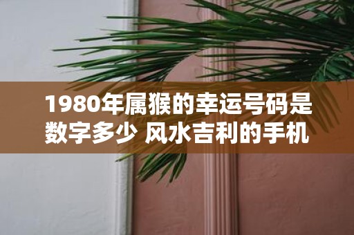 1980年属猴的幸运号码是数字多少 风水吉利的手机号码