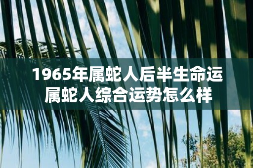 1965年属蛇人后半生命运 属蛇人综合运势怎么样