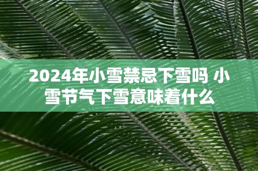 2025年小雪禁忌下雪吗 小雪节气下雪意味着什么