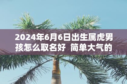 2025年6月6日出生属虎男孩怎么取名好 简单大气的男孩名字