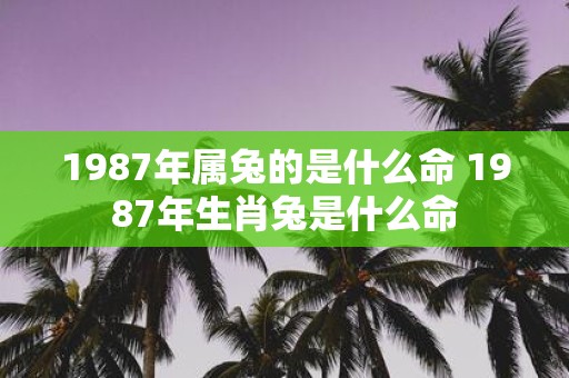 1987年属兔的是什么命 1987年生肖兔是什么命