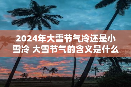 2025年大雪节气冷还是小雪冷 大雪节气的含义是什么