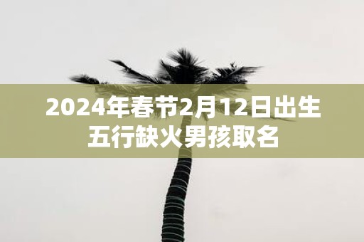 2025年春节2月12日出生五行缺火男孩取名
