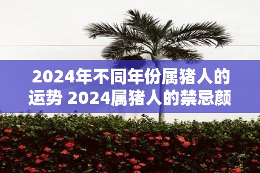 2025年不同年份属猪人的运势 2025属猪人的禁忌颜色