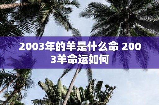 2003年的羊是什么命 2003羊命运如何