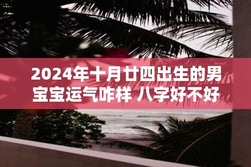 2025年十月廿四出生的男宝宝运气咋样 八字好不好