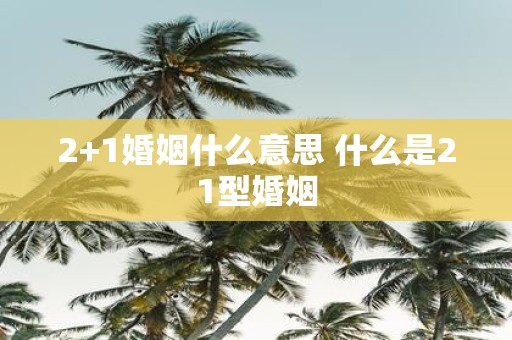 2+1婚姻什么意思 什么是21型婚姻