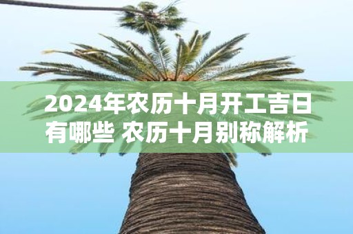 2025年农历十月开工吉日有哪些 农历十月别称解析！