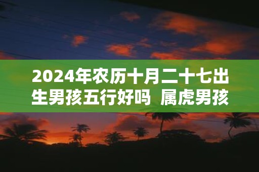 2025年农历十月二十七出生男孩五行好吗 属虎男孩名字推荐