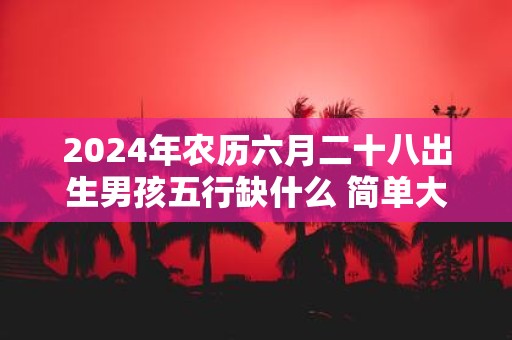 2025年农历六月二十八出生男孩五行缺什么 简单大方洋气的名字