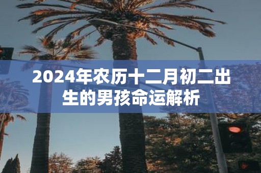 2025年农历十二月初二出生的男孩命运解析