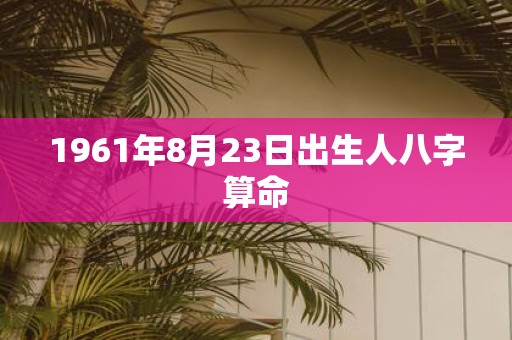 1961年8月23日出生人八字算命