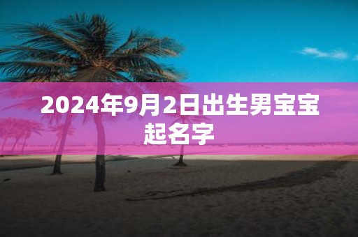 2025年9月2日出生男宝宝起名字
