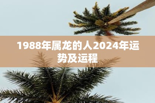 1988年属龙的人2025年运势及运程