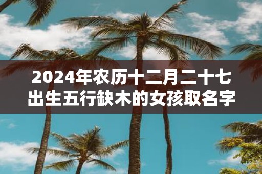 2025年农历十二月二十七出生五行缺木的女孩取名字