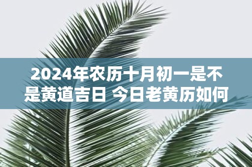 2025年农历十月初一是不是黄道吉日 今日老黄历如何
