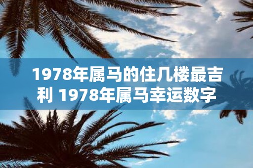 1978年属马的住几楼最吉利 1978年属马幸运数字