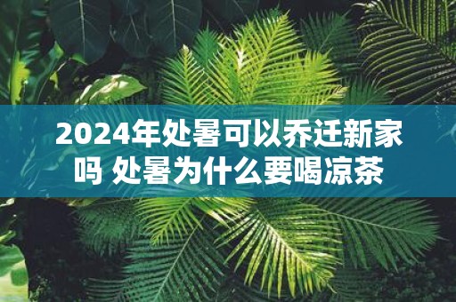 2025年处暑可以乔迁新家吗 处暑为什么要喝凉茶