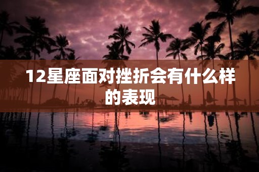 12星座面对挫折会有什么样的表现