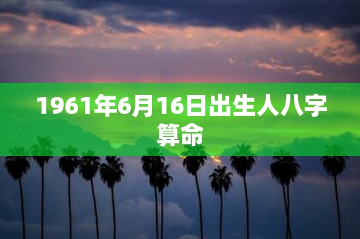 1961年6月16日出生人八字算命