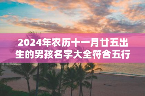 2025年农历十一月廿五出生的男孩名字大全符合五行命理