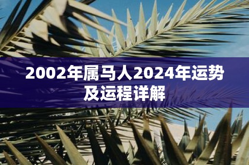 2002年属马人2025年运势及运程详解