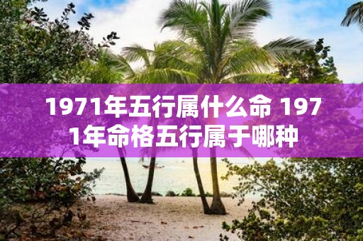 1971年五行属什么命 1971年命格五行属于哪种
