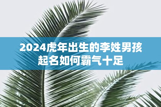 2025虎年出生的李姓男孩起名如何霸气十足