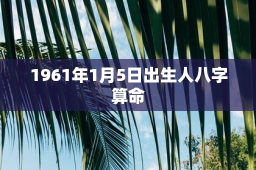 1961年1月5日出生人八字算命