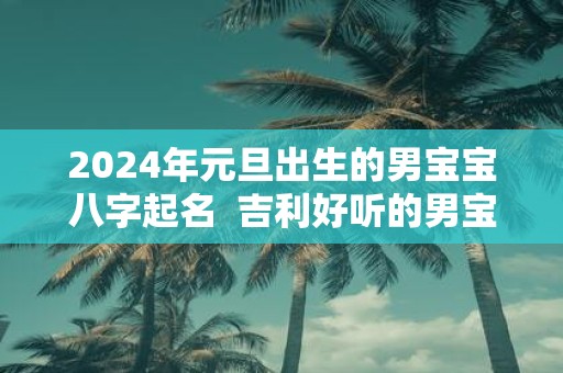2025年元旦出生的男宝宝八字起名 吉利好听的男宝宝名字