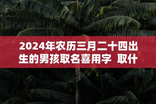 2025年农历三月二十四出生的男孩取名喜用字 取什么名字比较吉利