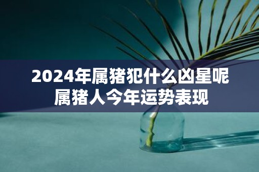 2025年属猪犯什么凶星呢 属猪人今年运势表现