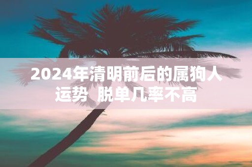 2025年清明前后的属狗人运势 脱单几率不高