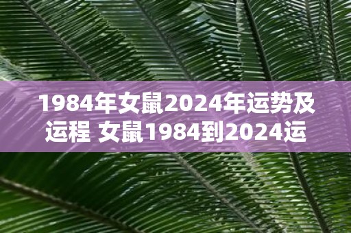 1984年女鼠2025年运势及运程 女鼠1984到2025运势如何