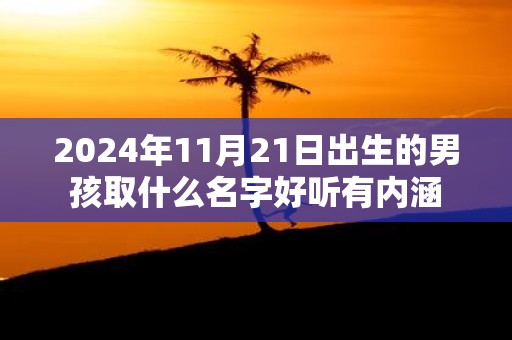 2025年11月21日出生的男孩取什么名字好听有内涵