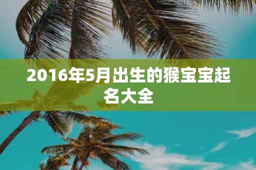2016年5月出生的猴宝宝起名大全
