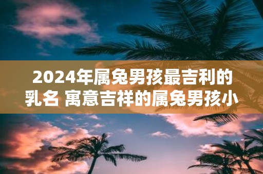 2025年属兔男孩最吉利的乳名 寓意吉祥的属兔男孩小名