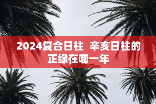 2025复合日柱 辛亥日柱的正缘在哪一年