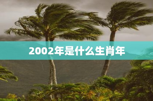 2002年是什么生肖年