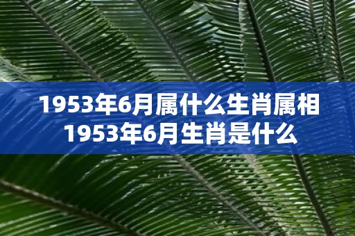 1953年6月属什么生肖属相 1953年6月生肖是什么