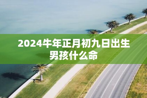 2025牛年正月初九日出生男孩什么命