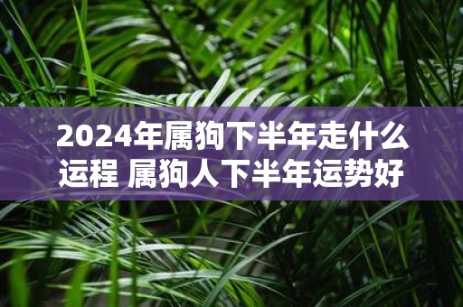 2025年属狗下半年走什么运程 属狗人下半年运势好不好