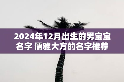 2025年12月出生的男宝宝名字 儒雅大方的名字推荐