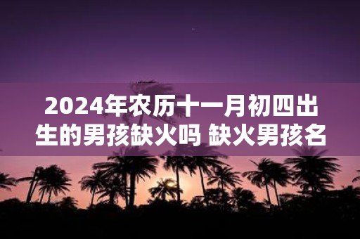 2025年农历十一月初四出生的男孩缺火吗 缺火男孩名字用的字