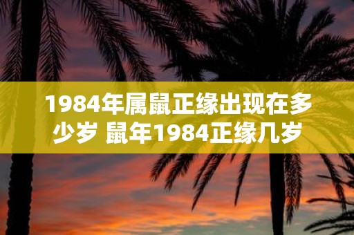 1984年属鼠正缘出现在多少岁 鼠年1984正缘几岁