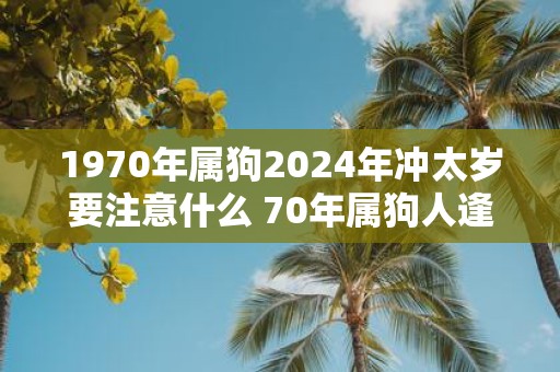 1970年属狗2025年冲太岁要注意什么 70年属狗人逢蛇年运气如何