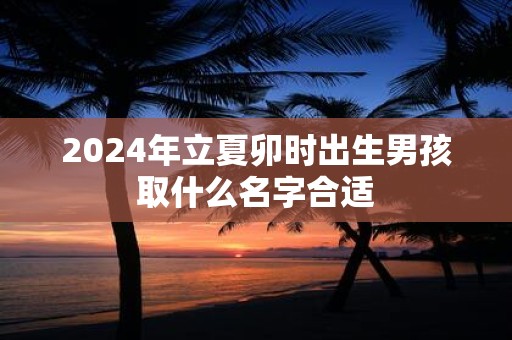 2025年立夏卯时出生男孩取什么名字合适