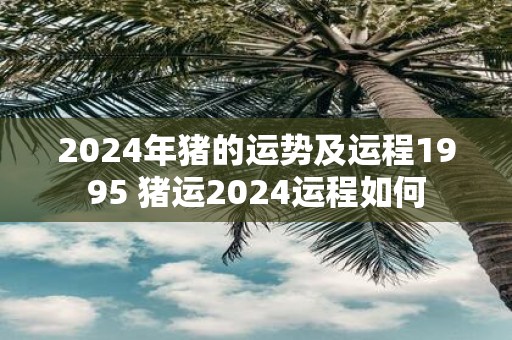 2025年猪的运势及运程1995 猪运2025运程如何