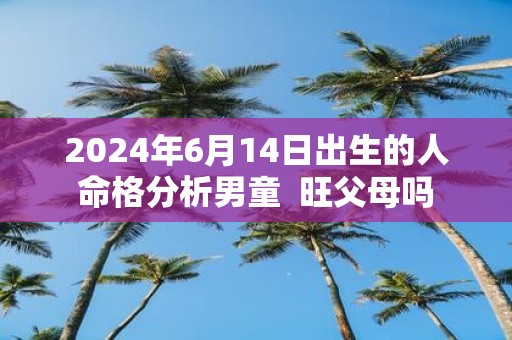 2025年6月14日出生的人命格分析男童 旺父母吗