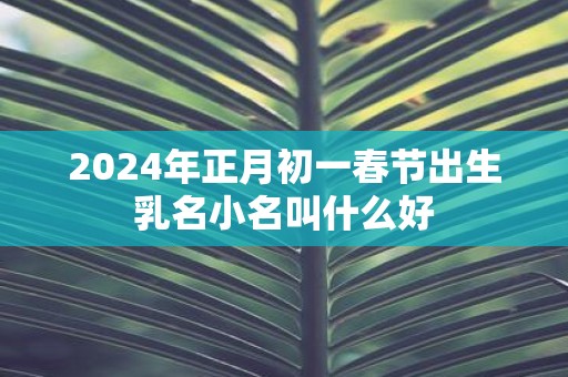 2025年正月初一春节出生乳名小名叫什么好